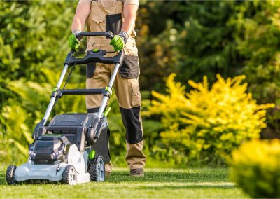 Lawn Mowing